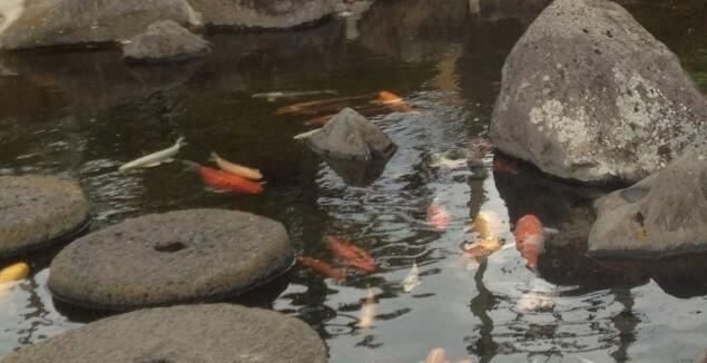 생각하는정원 (Spirited Garden)