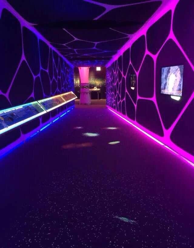 Adler Planetarium & Astronomy Museum
