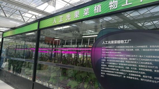 CaoMei BoLanYuan