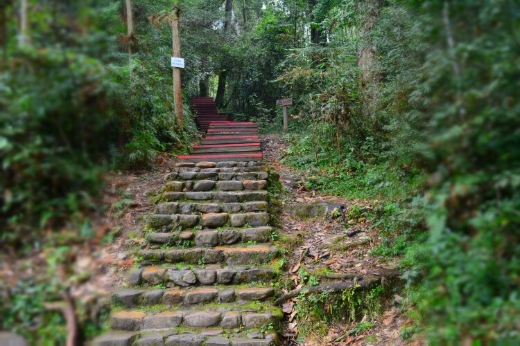 寨下大峡谷