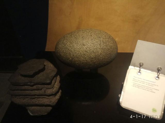 Natural History Museum
