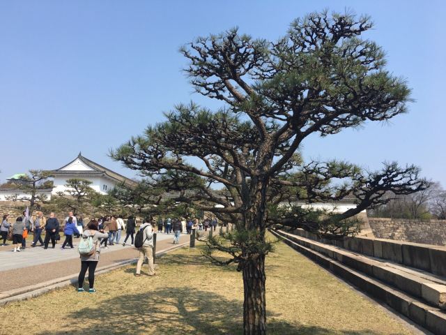 Osaka Castle Park