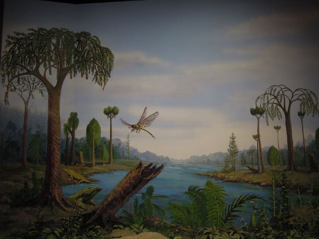 Tianjin Natural History Museum