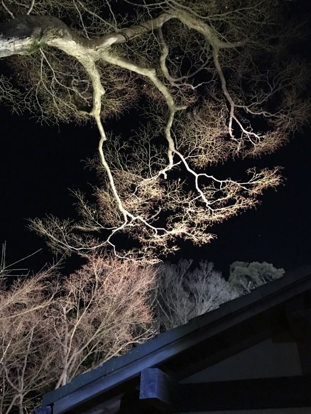 高台寺