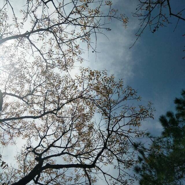 Kowloon Park