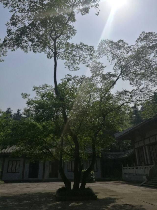 다펑산 셴포구 관광지구