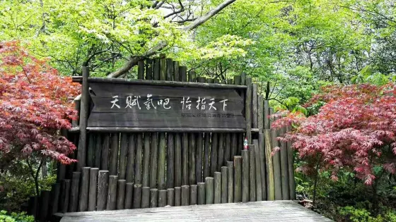 雞公山原始森林