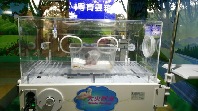 Chimelong Bird Park
