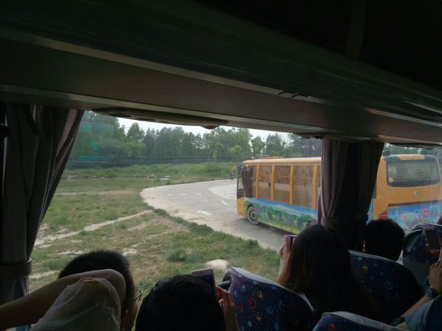 Shanghai Wild Animal Park