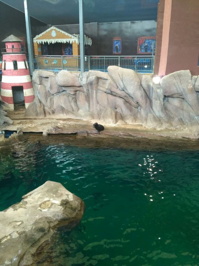 Qujiang Polar Ocean Park