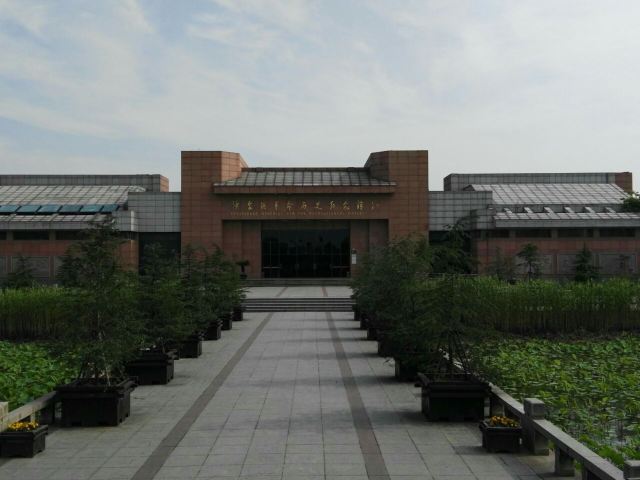 Shajiabang Scenic Area