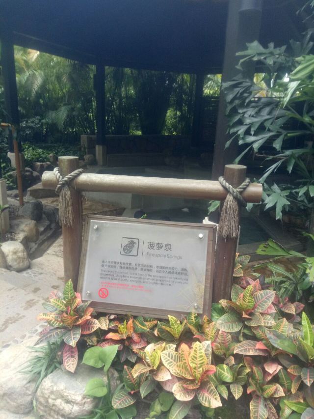 Riyuegu HotSprings Resort