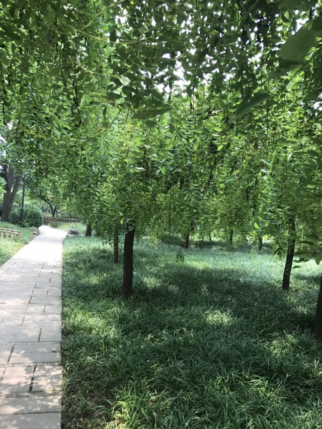 Baihua Park
