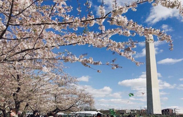 Washington Monument