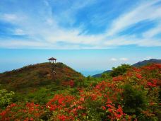 大围山国家森林公园-浏阳-YoYo_1Y6J0U5F