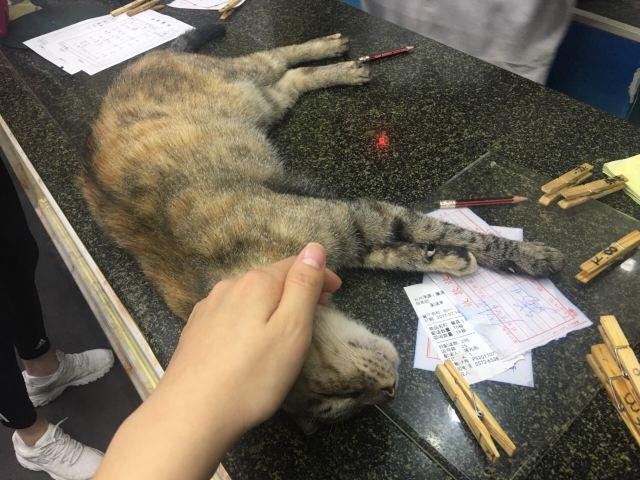 協和菜館(鳳凰街店)