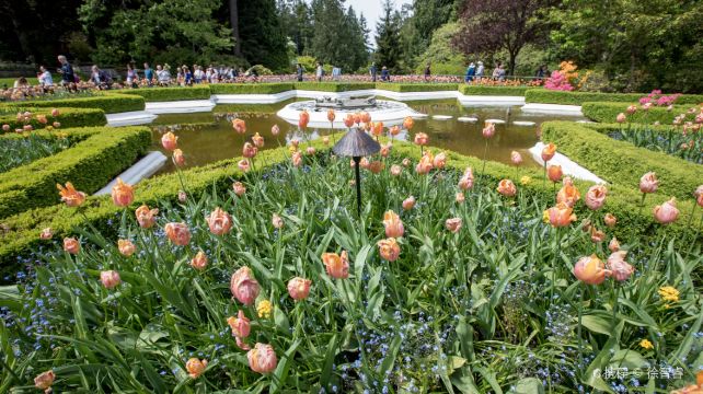 <3天>【遇見加西 維多利亞的祕密】·溫哥華+維多利亞市區遊+自由行 ：溫哥華免費接送機+寶翠花園+維多利亞唐人街+維多利亞內港+維多利亞一號公路零公里起點