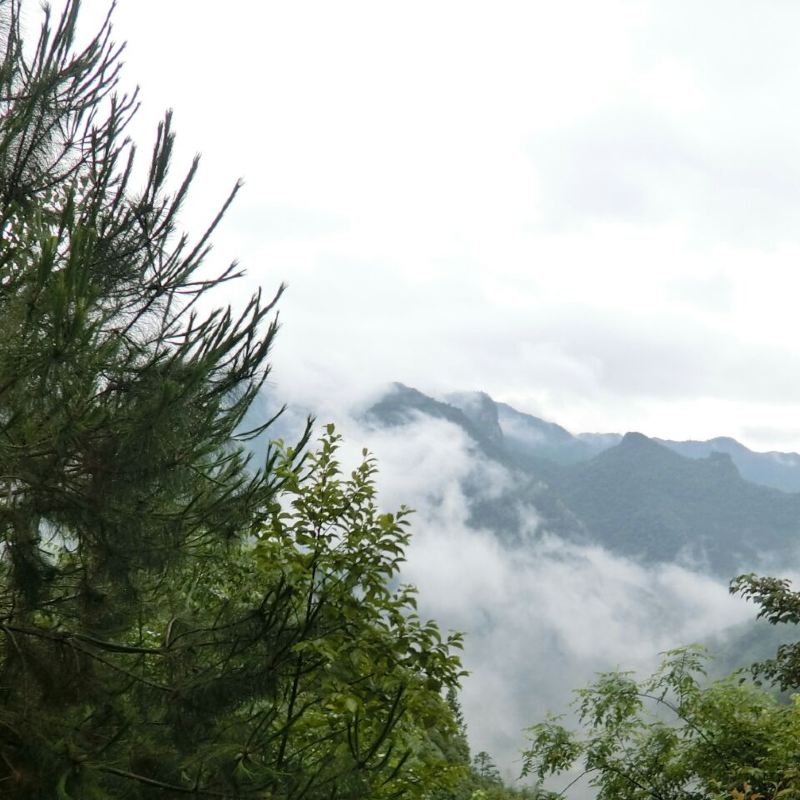 Longsheng Nanshan Farm Tickets Deals Reviews Family - 