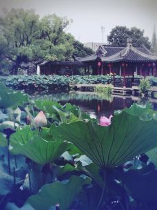 曾园赵园-常熟-YoYo_8F7A4K1J