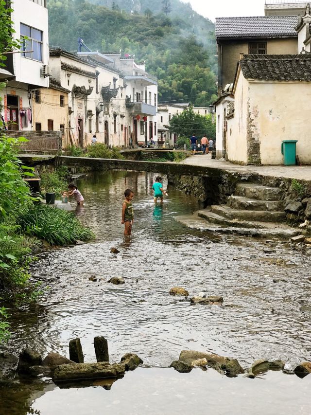 芹川村