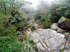 白谷云水峡-屋久岛町-doris圈圈