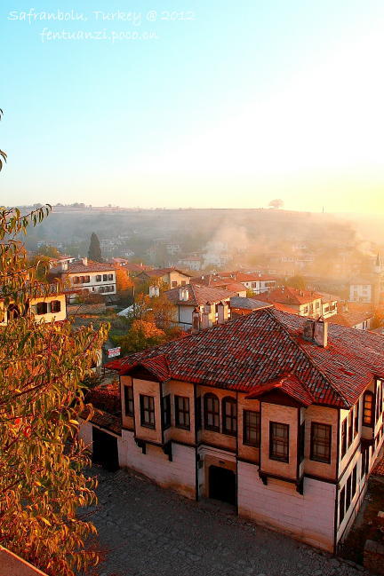 土耳其最爱的番红花城