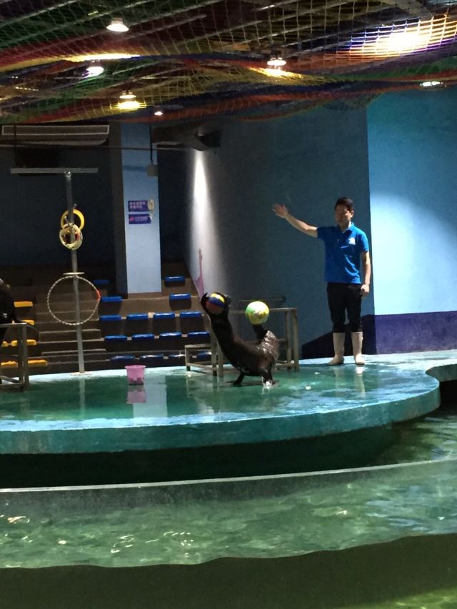Nanchong Polar Ocean World