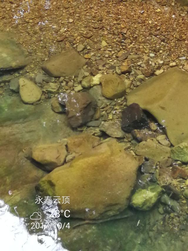福州雲頂