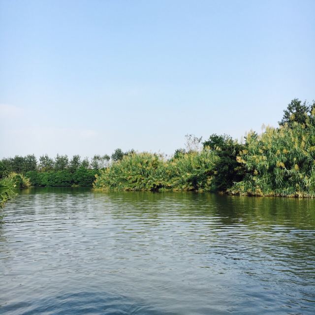 Shajiabang Scenic Area