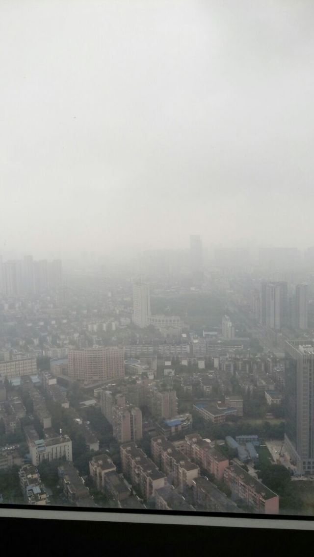 톈푸 판다 타워
