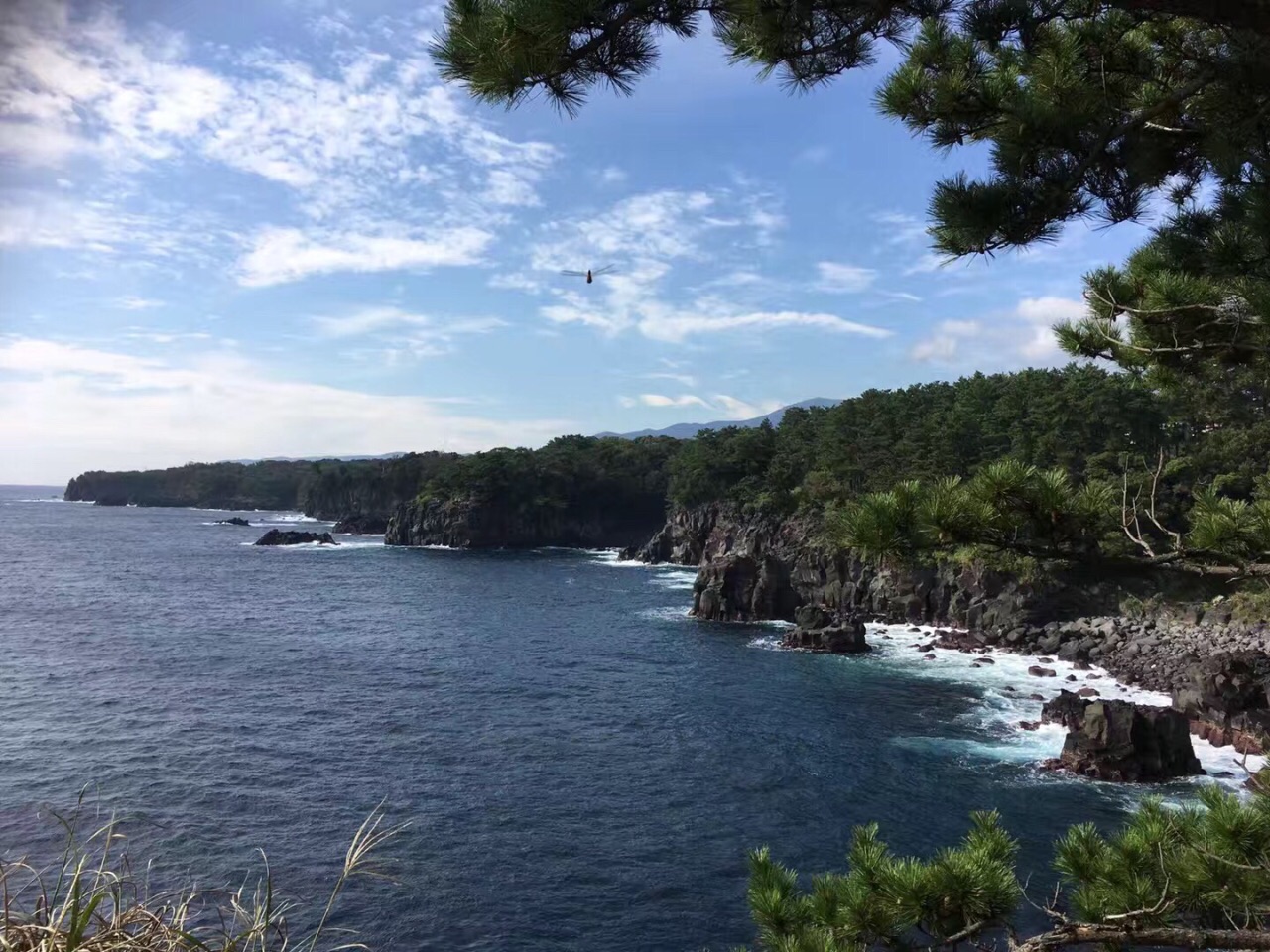 城崎海岸