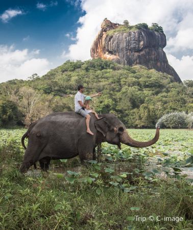 6D4N • Sri Lanka+Colombo + Dambulla Cave Temple + Sigiriya Lion Rock + Temple of the Sacred Tooth Relic + Kandy + Yala National Park + Galle Fort