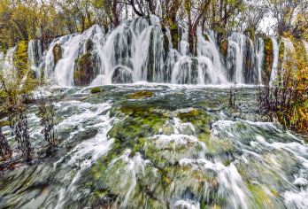 九寨沟一日游2-6人团含门票观光车含景区内导游景区门口集合【[探秘巴蜀文化]了解九寨沟水景文化，打卡九寨沟景区，行程中无强制消费行程透明！】