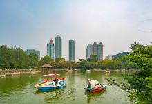 淄博人民公园景点图片