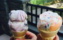 Moonlight Creamery餐厅图片