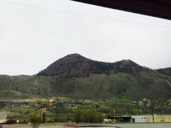 Harold's Family Restaurant餐厅图片