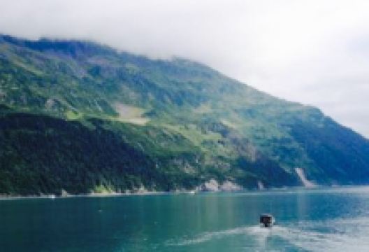 Inn At Whittier美食图片