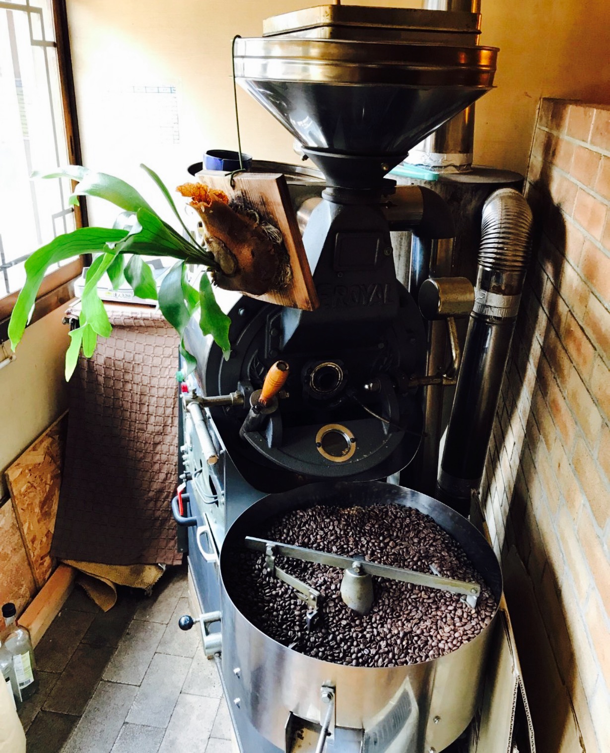 Tao Coffee餐厅图片