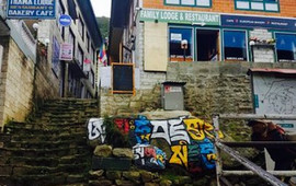 Sherpa Barista Baker,food &coffee Shop