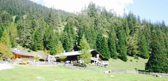 Gaistalalm餐厅图片