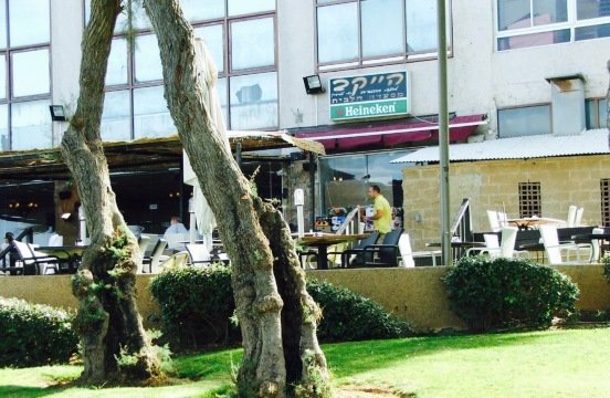 HaYekev Restaurant餐厅图片