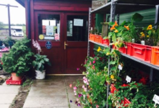 The Speckled Hen美食图片