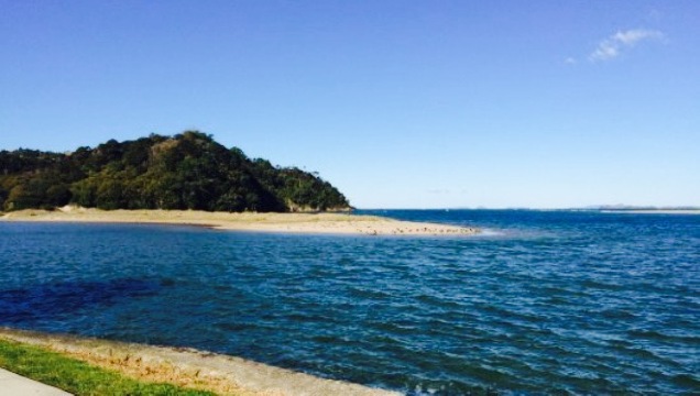 Ngunguru Takeaways