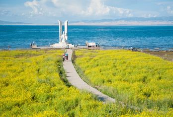 中国青海西宁【青海湖-塔尔寺一日游】【青海湖茶卡盐湖】