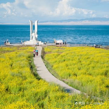 青海西宁+玛多+玉树市+曲麻莱+可可西里国家级自然保护区+格尔木+茫崖+大柴旦10日9晚私家团