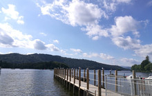 The Blue Coconut餐厅图片