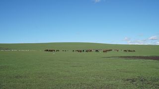 草原与森林之梦---呼伦贝尔自驾之旅