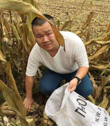 康乃馨生日蛋糕(武陟店)