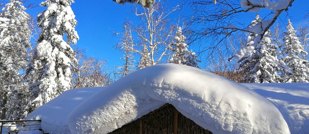 雪乡画廊