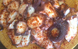 Casa do pulpo
